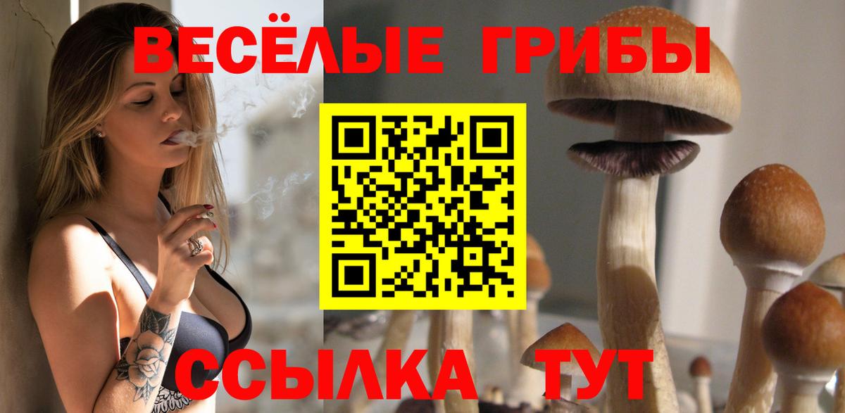 Галлюциногенные грибы Psilocybine cubensis  Галлюциногенные грибы Psilocybine cubensis  Вход с VPN  Новый Уренгой 