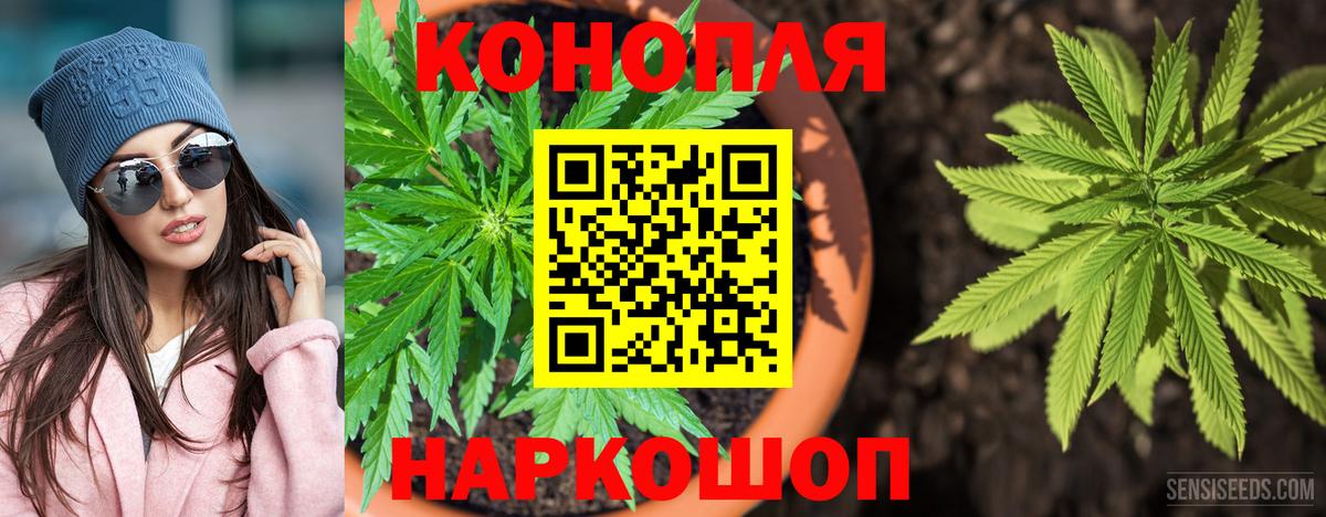 Марихуана Bruce Banner  Шишки марихуана тримм  Новый Уренгой  Вход с VPN  Шишки марихуана OG Kush 